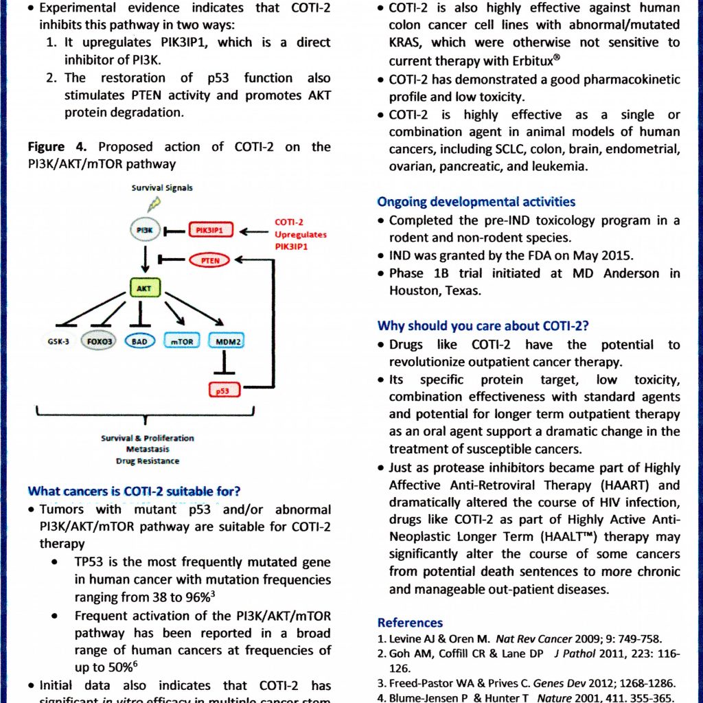 COTI-2 pg2