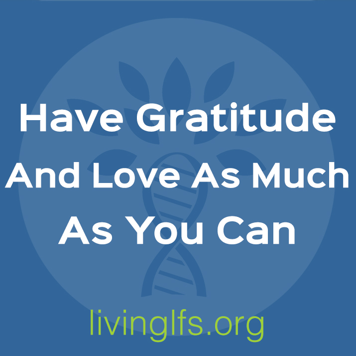 Life Lesson 4: Have Gratitude and Love As Much As You Can