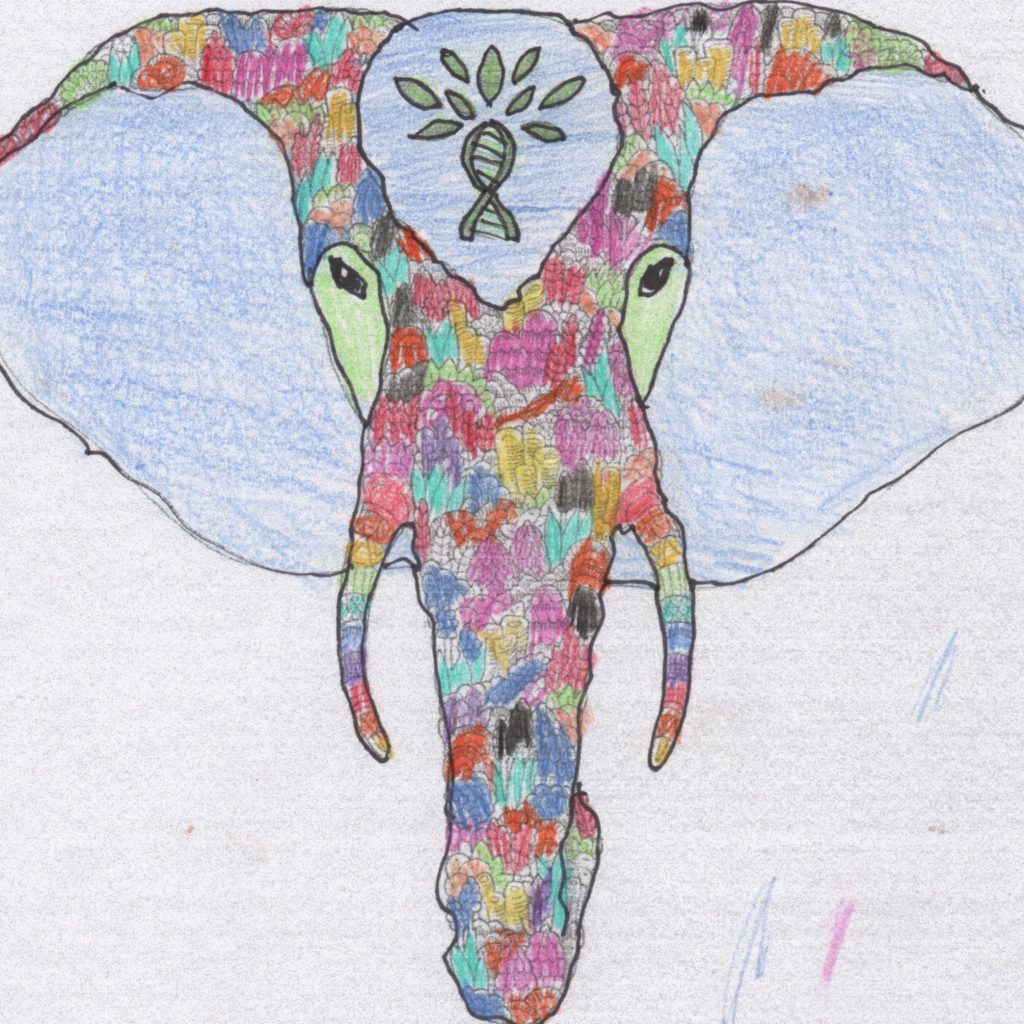 Bella's Elephant