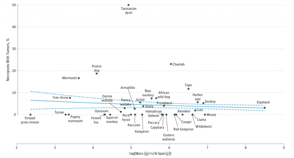 Cancer incidence across species by body size and life span